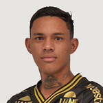L. Gomes
