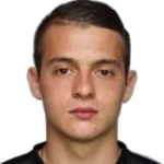 N. Mihajlović