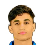 Mohamed Zidan