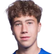 J. Driessen