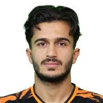 M. Hosseini